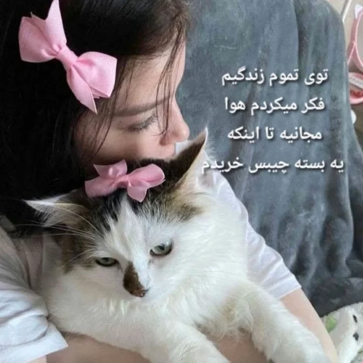 عکس
