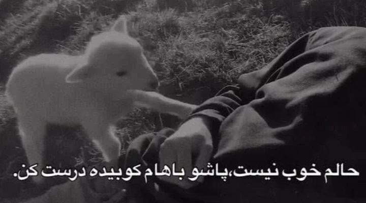 عکس