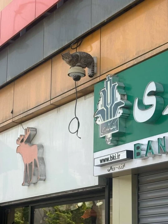عکس