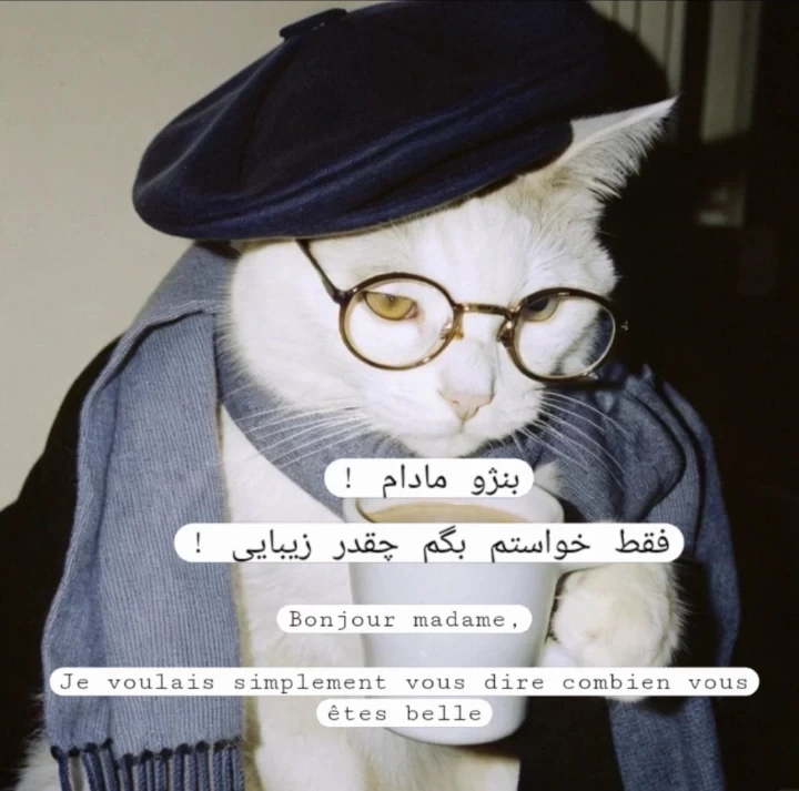 عکس