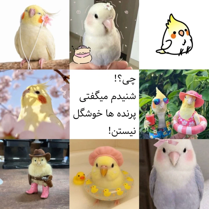 عکس