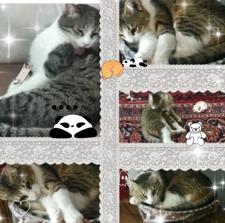 عکس