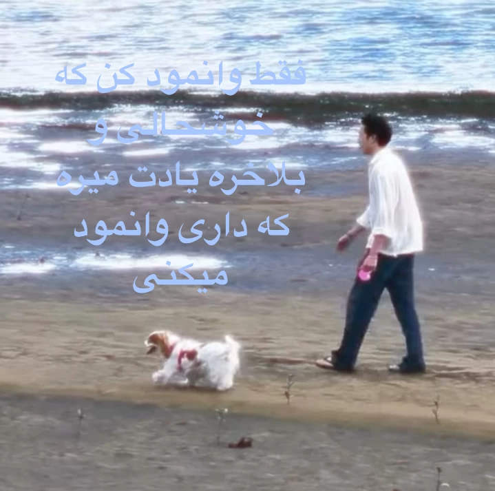 عکس