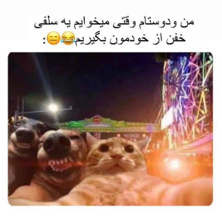 عکس