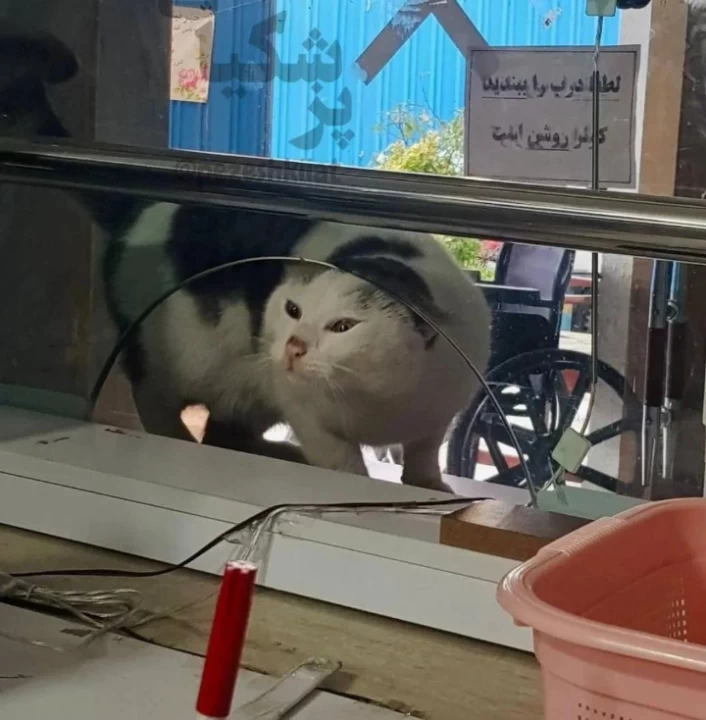 عکس