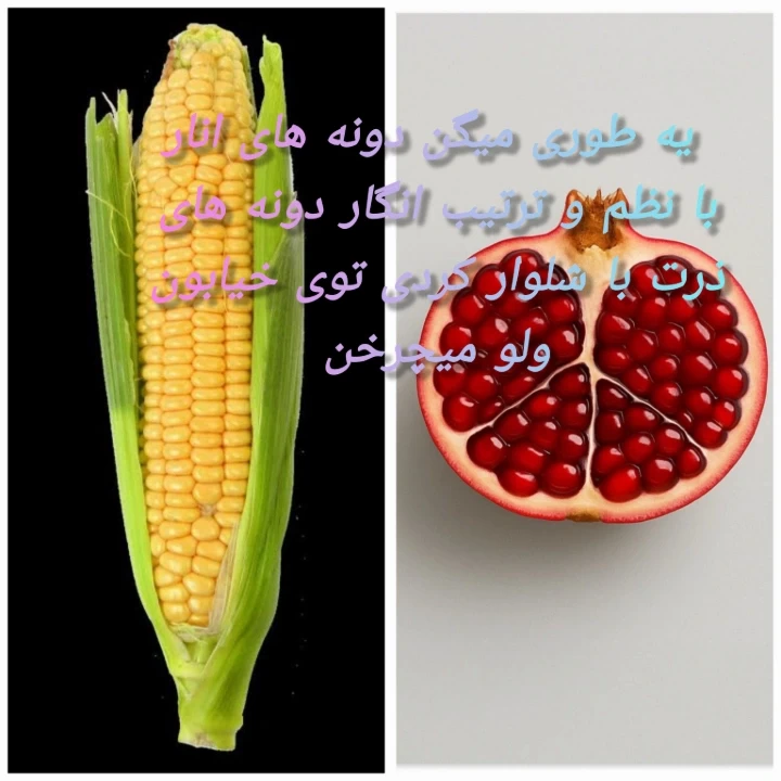 عکس