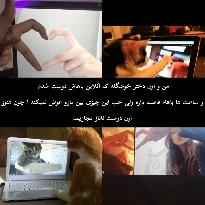 عکس