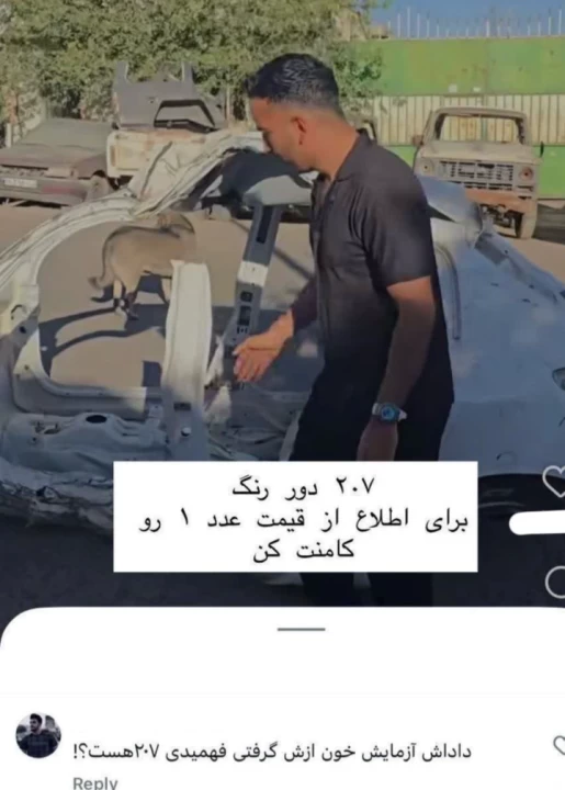 عکس