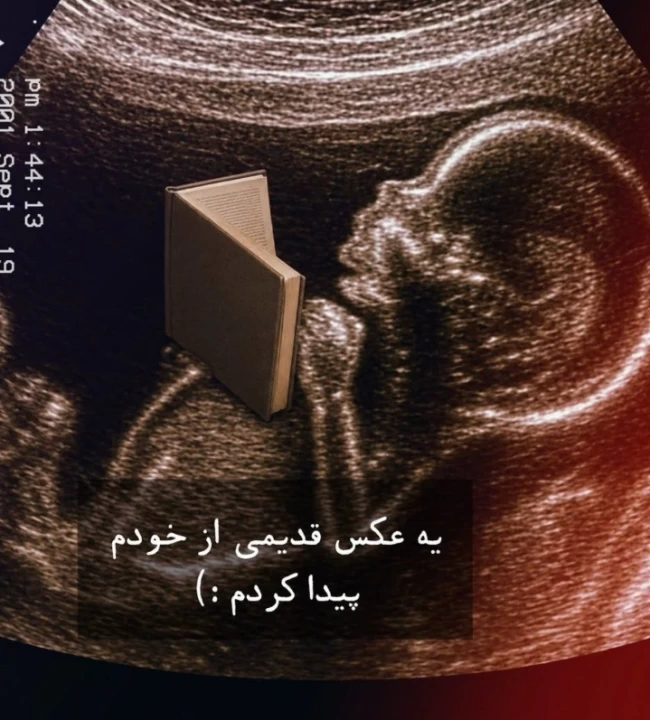 عکس