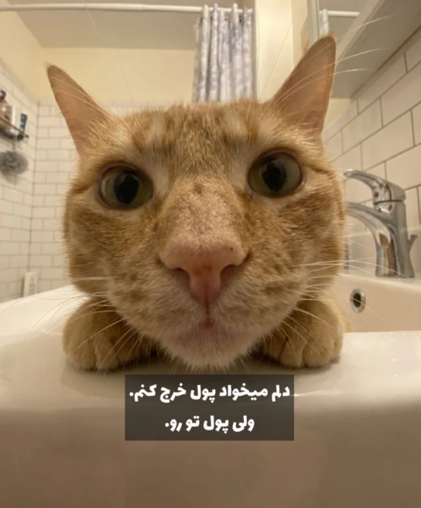 عکس
