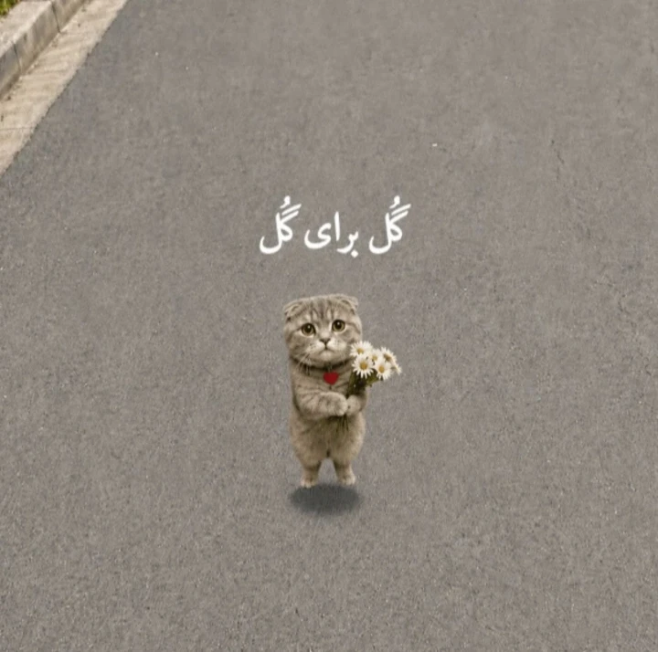 عکس