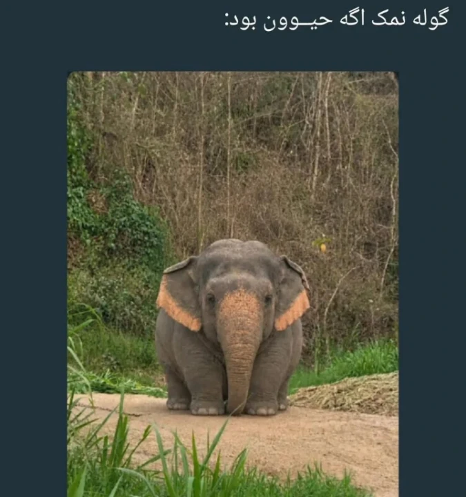 عکس