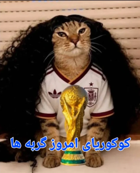 عکس