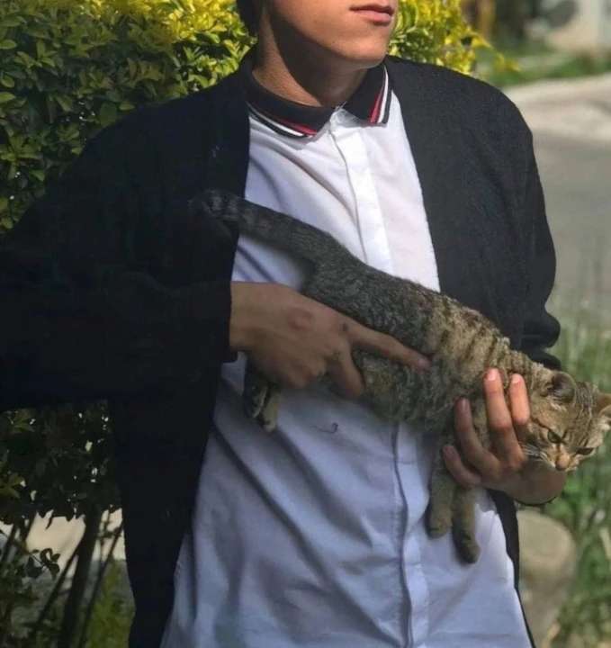 عکس