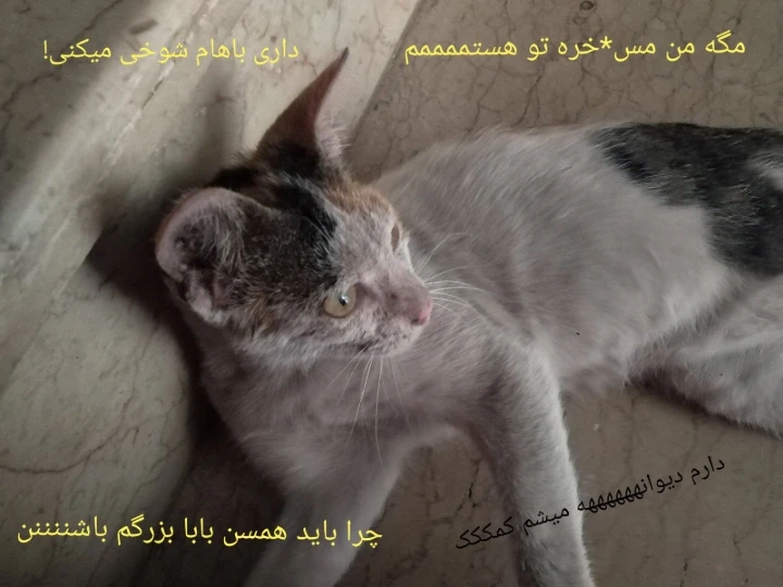 عکس
