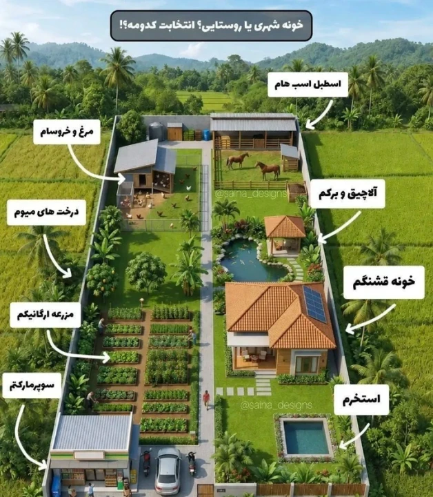 عکس