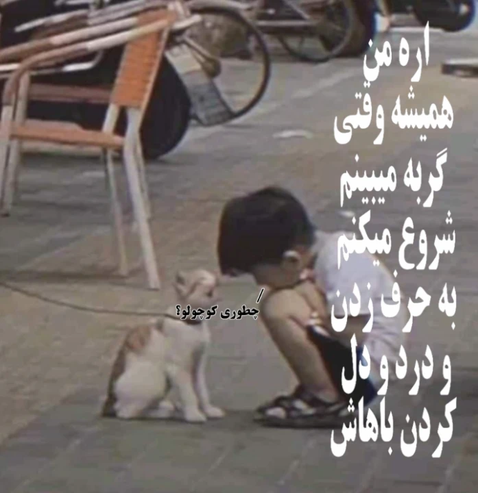 عکس