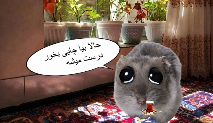 عکس