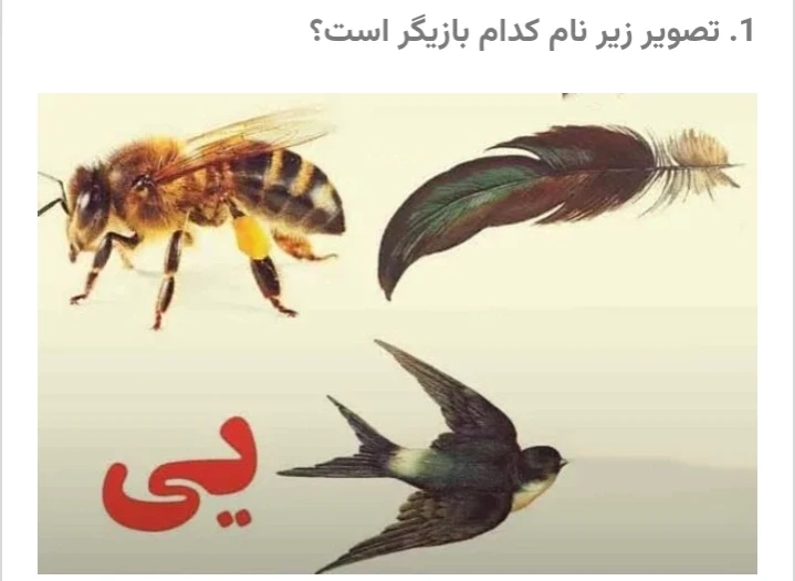 عکس