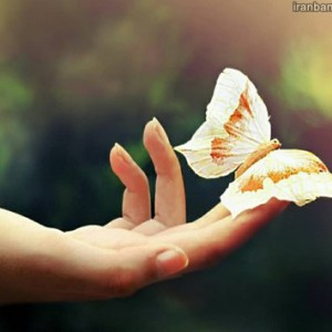 چقدر بندیکت کامبربچ رو میشناسی؟