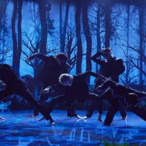 آرمی های دو آتیشه بشتاابید