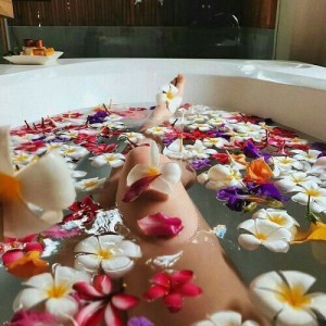 میراکلس: دیداری دوباره(2)