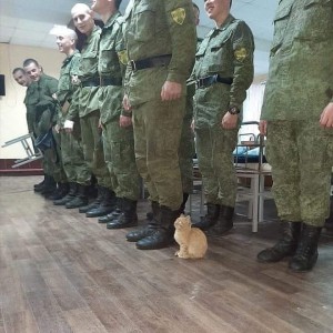 چه قدر اریانا گرانده رو میشناسی؟