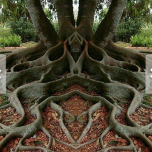 چرا اینجام؟ 8