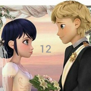 Teles of miraculous 12