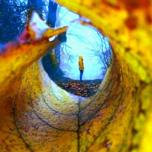 چرا اینجام؟ 13