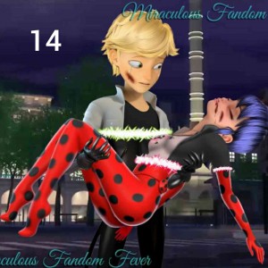 Teles of miraculous 14