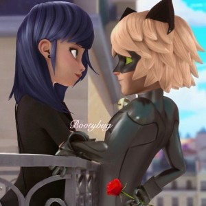 Ladybug & Cat noir 3