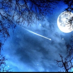 چرا اینجام؟18