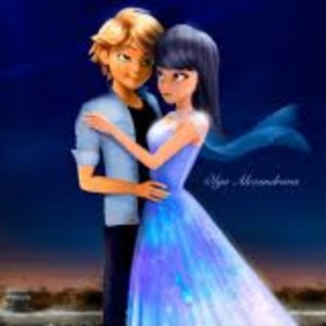 Ladybug & Cat noir 4