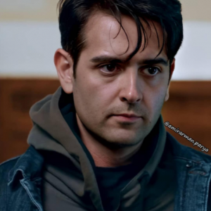 آرمانی ها بیان