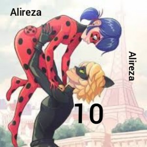 Ladybug & Cat noir 10