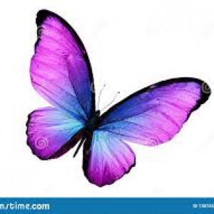 چقدر هوش بالایی داری ؟