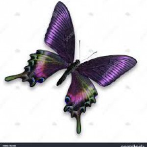 شعر های زیبا