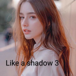 Like a shadow 3