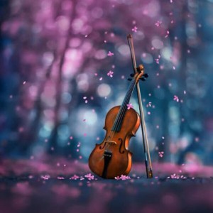 بیو عاشقانه❤