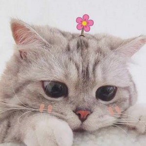 برای شما هم؟