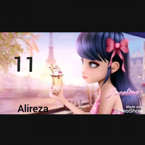 Ladybug & Cat noir 11