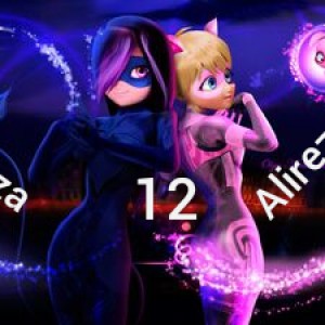 Ladybug & Cat noir 12