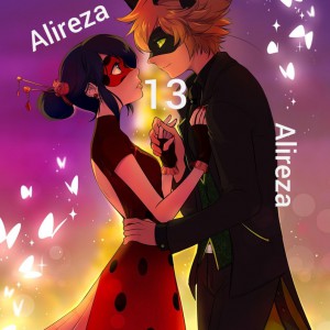 Ladybug & Cat noir 13