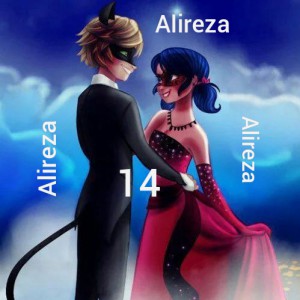 Ladybug & Cat noir 14