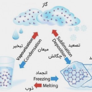 پرسش نامه علوم
