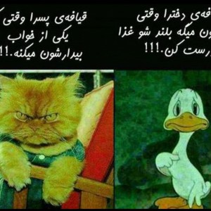 دنیا روی خندس ??