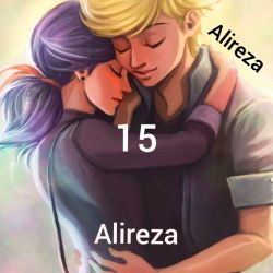 Ladybug & Cat noir 15