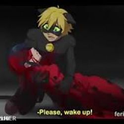 لیدی باگ و کت نوار : پایان ۳