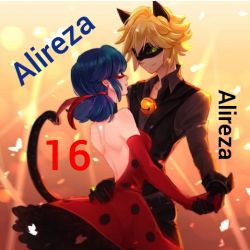 Ladybug & Cat noir 16